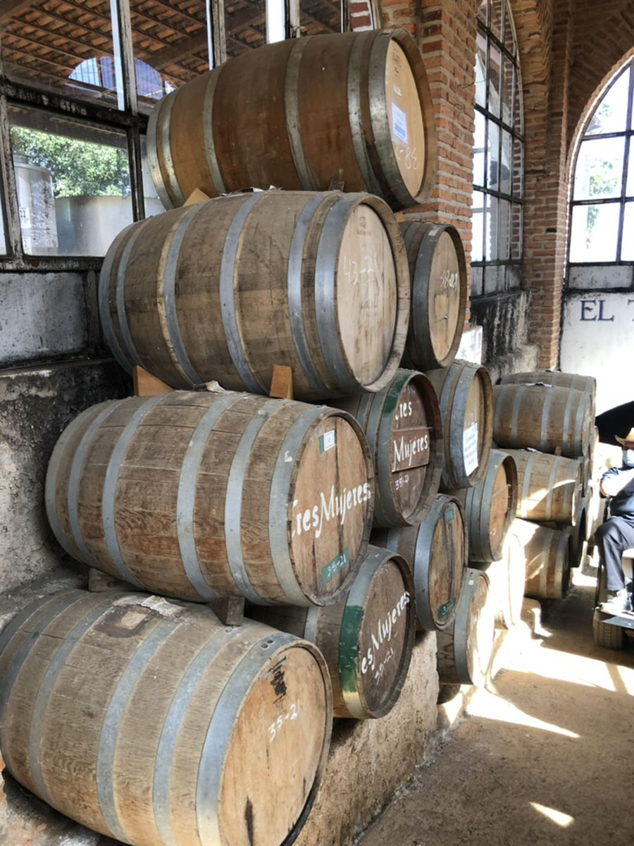 Guadalajara 010